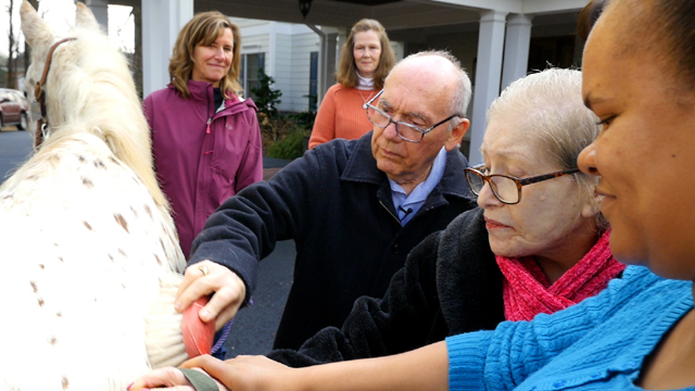 Residents interact with a therapy horse